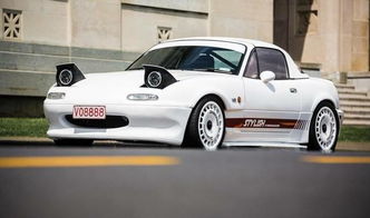 汽车车迷有多少