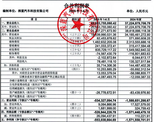 汽车负债多少算正常