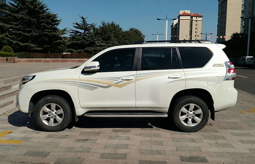 汽车满车印字罚多少