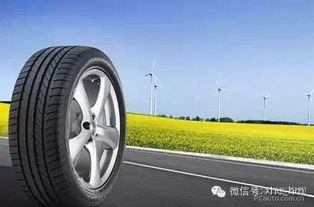 汽车换轮胎多少价位