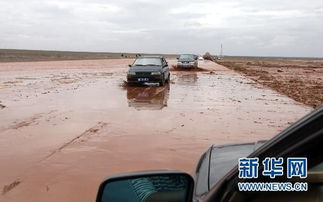 莎车有多少辆汽车