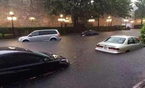 汽车多少高度会进水