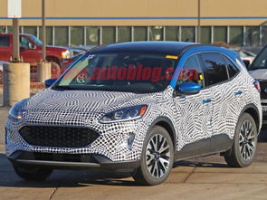 福特汽车曝光率多少