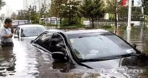 秦安汽车死亡人数多少