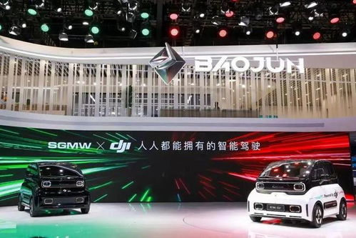 大疆汽车多少元 大疆汽车多少元