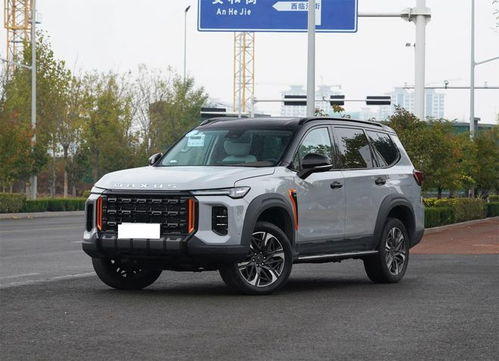 领地汽车价格多少