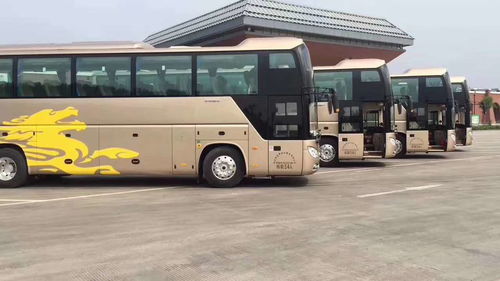 环宇汽车租赁价格多少