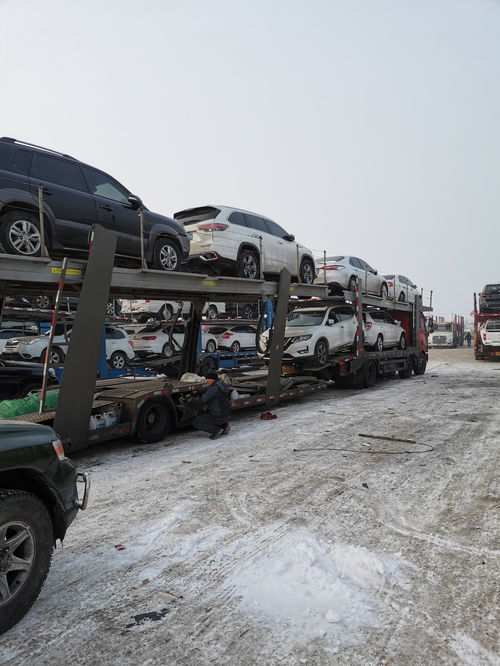 汽车托运宝马价格多少