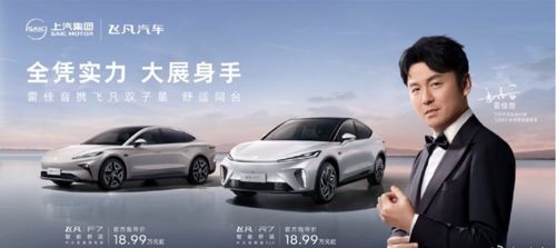 飞凡汽车首付多少