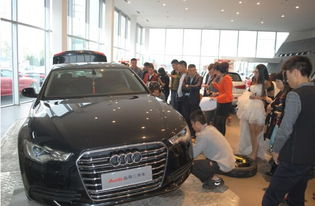 汽车能拉多少酒