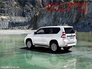 丰田汽车有多少名字