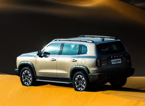 狼道汽车多少钱