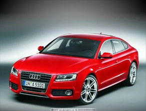 奥迪汽车电池多少v 奥迪汽车电池多少v