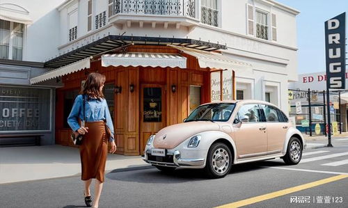 芭蕾汽车多少钱