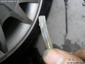 汽车主水管直径多少 汽车主水管直径多少