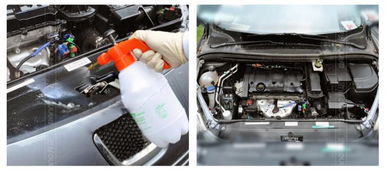 汽车清洗比例多少合适