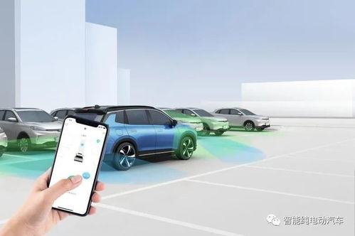 绥阳汽车入档费用多少