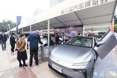 2023武汉汽车多少辆