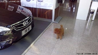 北京汽车售后没多少