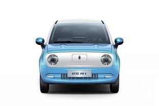 巴厘猫汽车多少元 巴厘猫汽车多少元