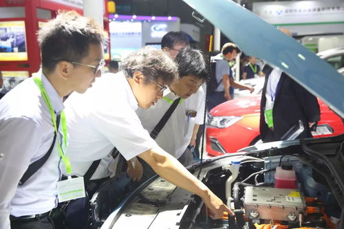 汽车电瓶多少斤重