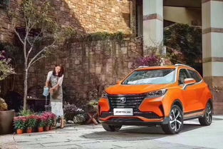 重庆汽车汽油造价多少