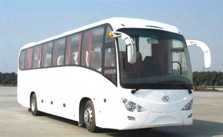 金龙汽车超载罚款多少 金龙汽车超载罚款多少