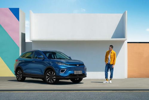 威马汽车多少续航