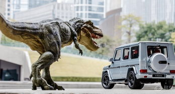 恐龙汽车可骑多少米