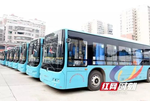 邵东市汽车多少辆