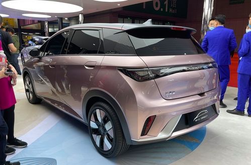 飞度汽车电池多少安