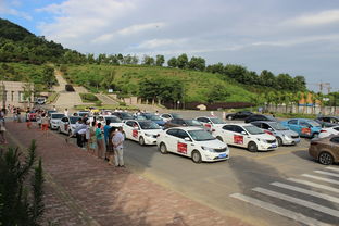 铜陵汽车有多少台