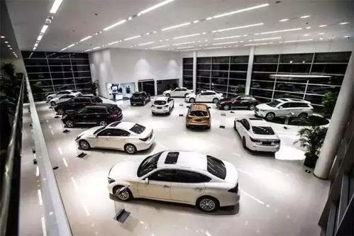 汽车人应负多少责任