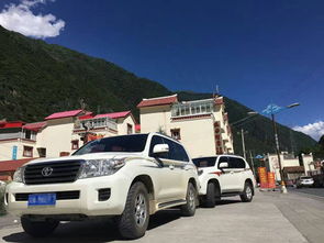 西藏汽车多少钱