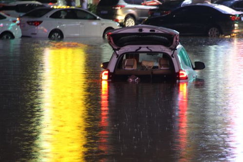 下大雨泡了多少汽车 下大雨泡了多少汽车