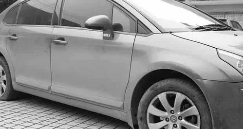 汽车最长车身是多少