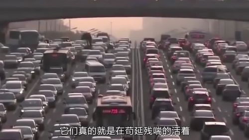 全国目前有多少汽车