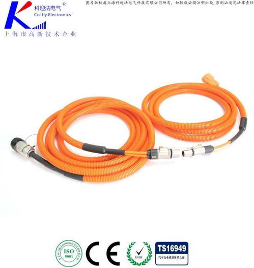 汽车温控插头电压多少 汽车温控插头电压多少