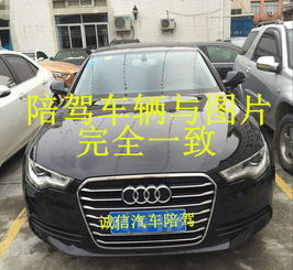 湛江汽车陪练价格多少