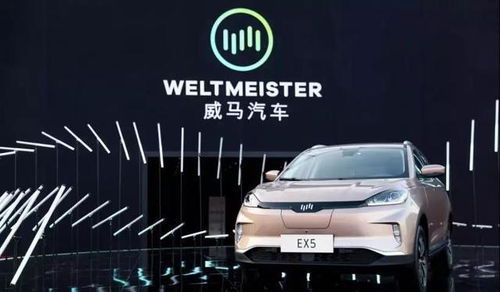 王牌汽车用户有多少 王牌汽车用户有多少