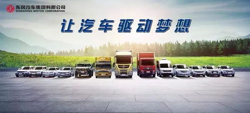 岳池汽车整备质量多少