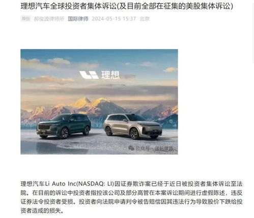 理想汽车损失了多少