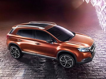 自贡ds汽车估价多少 自贡ds汽车估价多少