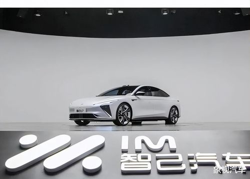 全国有多少亿汽车 全国有多少亿汽车