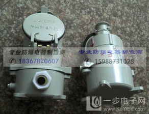 汽车ac插头多少v