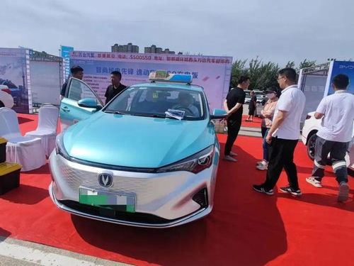 主城汽车租赁价格多少