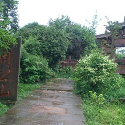 雅安汽车公园门票多少