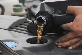 汽车油纸更换价格多少