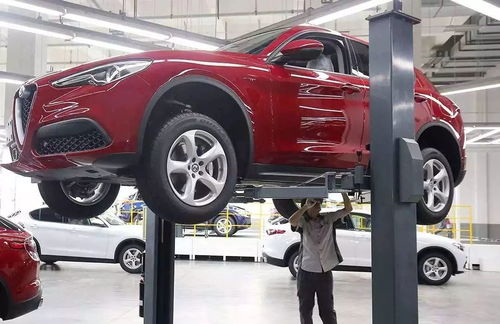 怎么查汽车多少升