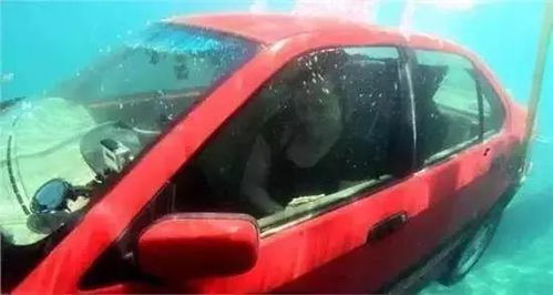汽车落水事故有多少